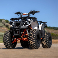 Запчастини для квадроциклів KAYO AU-110